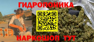 мдпв Обь