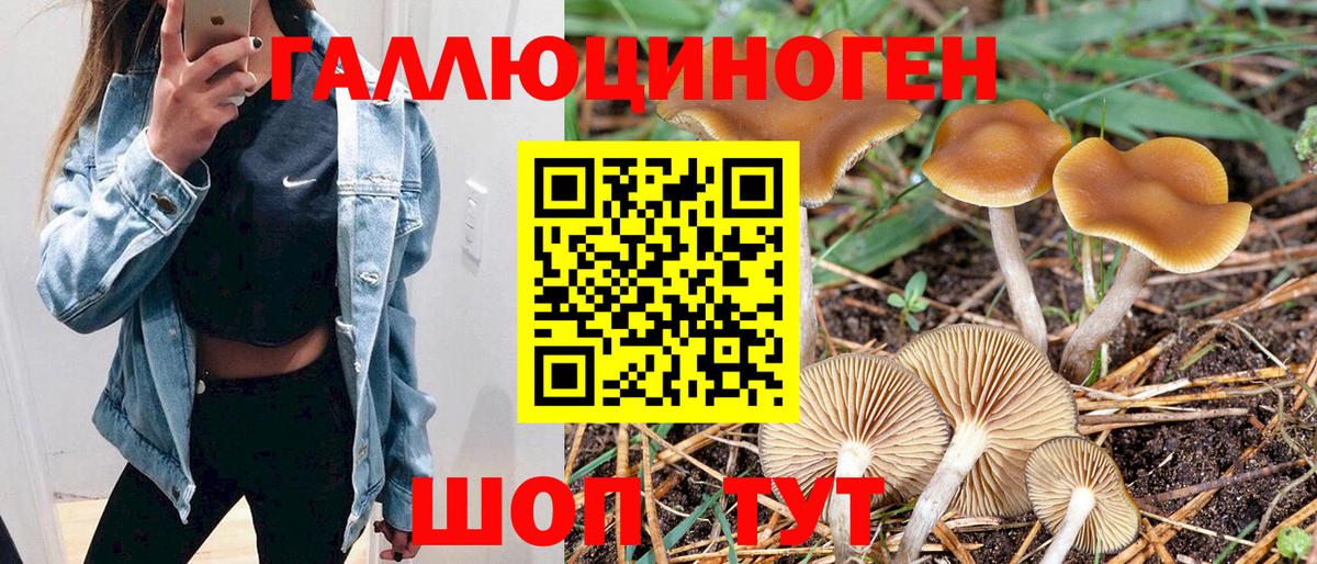 Галлюциногенные грибы Cubensis Сергиев Посад