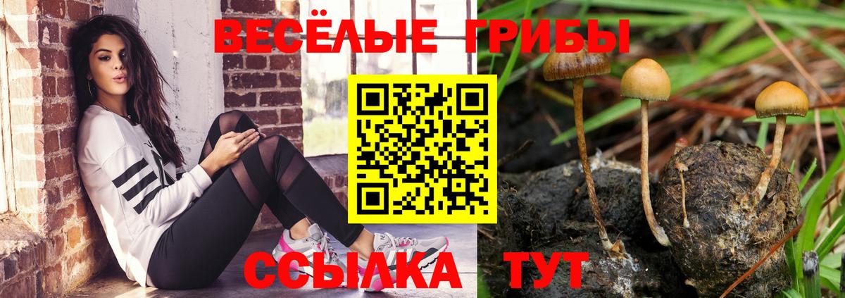 Сергиев Посад  Псилоцибиновые грибы MAGIC MUSHROOMS  хочу   Вход с VPN  Псилоцибиновые грибы Cubensis 